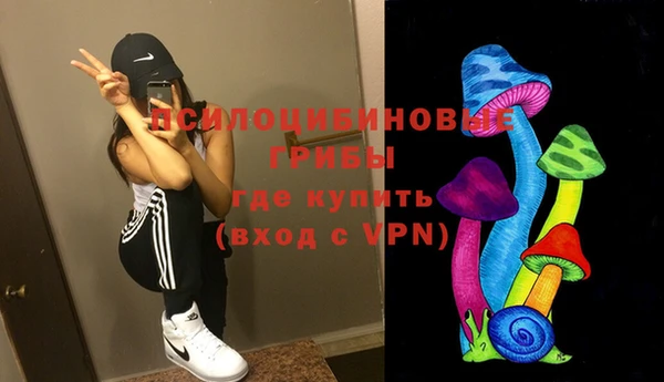 эйфоретик Аркадак