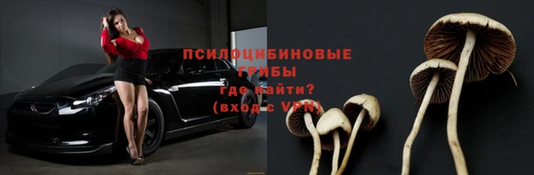ГАЛЛЮЦИНОГЕННЫЕ ГРИБЫ Армянск