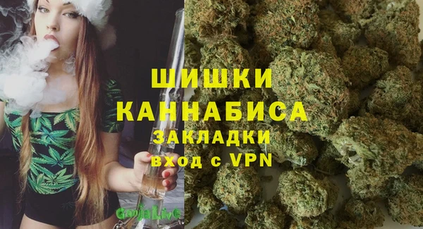 эйфоретик Аркадак