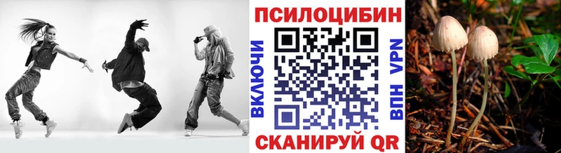 мориарти наркотические препараты  OMG вход  Полярные Зори  Псилоцибиновые грибы прущие грибы 
